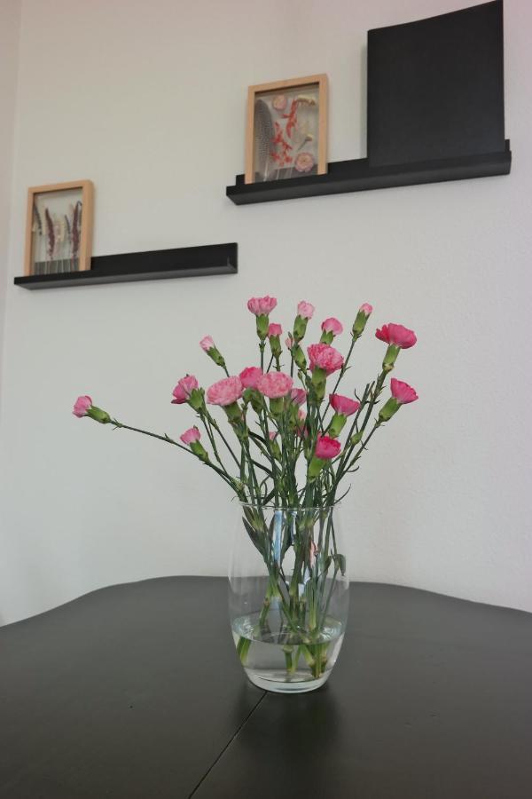 Slaap Lekker Apartamento Dokkum Exterior foto
