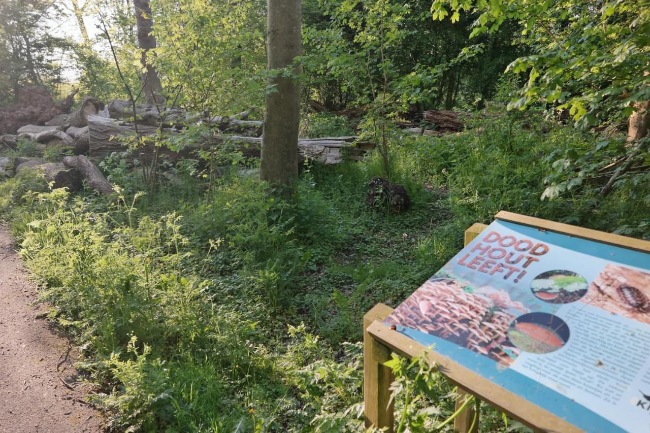 Slaap Lekker Apartamento Dokkum Exterior foto